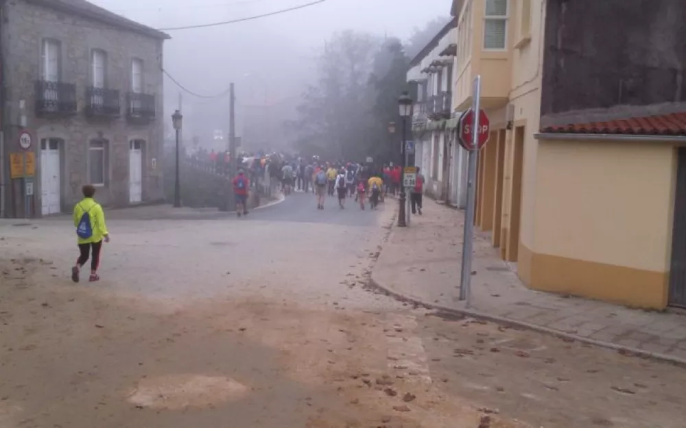 Andaina 2015