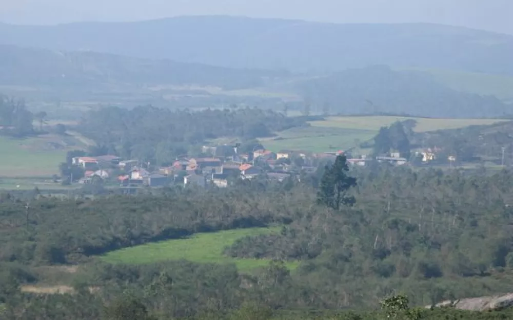 Andaina 2015