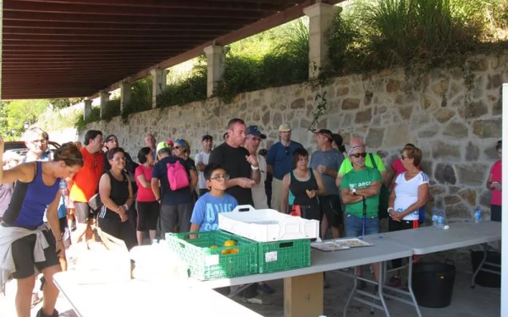 Andaina 2015