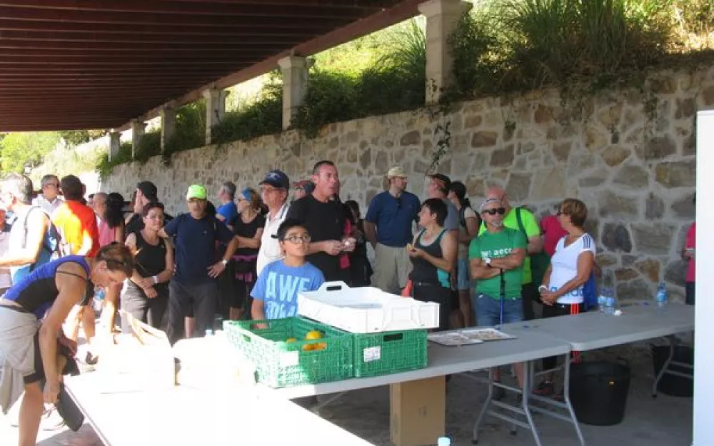 Andaina 2015