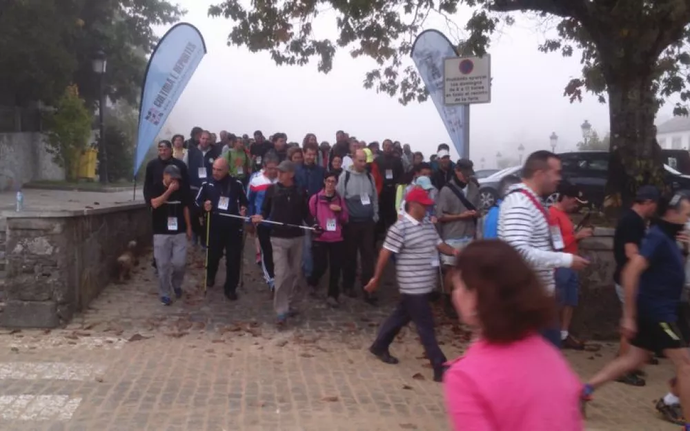 Andaina 2015