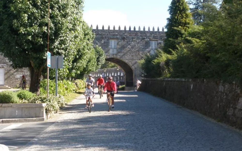 Día da Bicicleta 2010