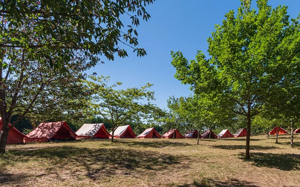 campamento2024.jpg