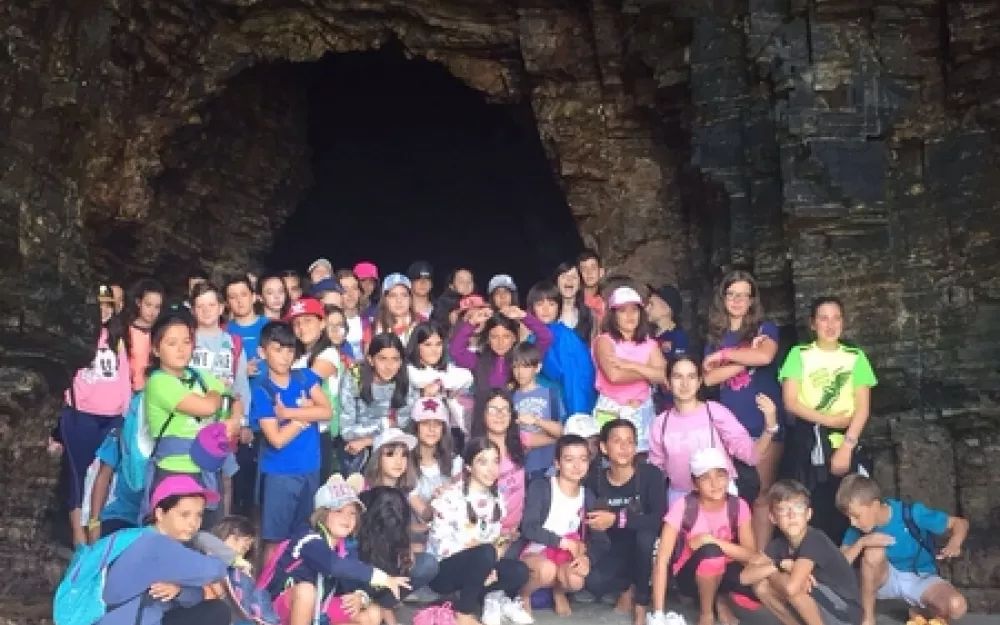 Campamentos Verán 2017