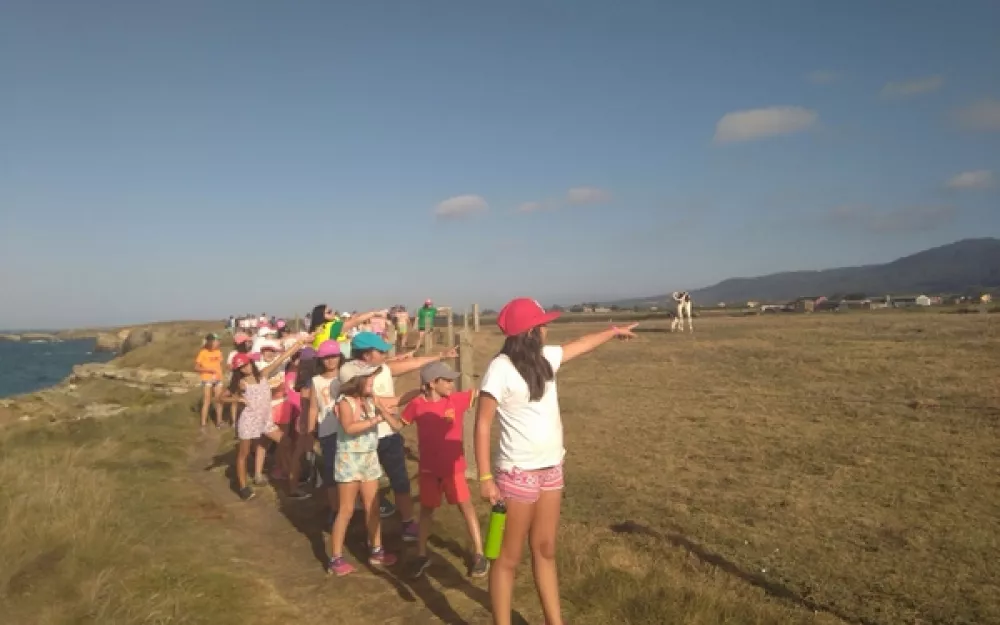 Campamentos Verán 2017