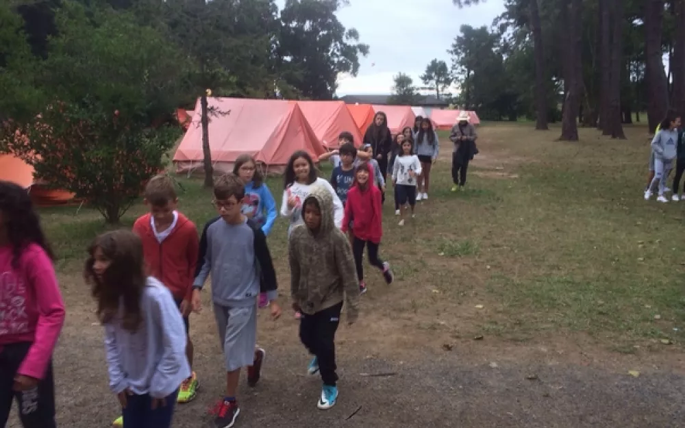 Campamentos Verán 2017