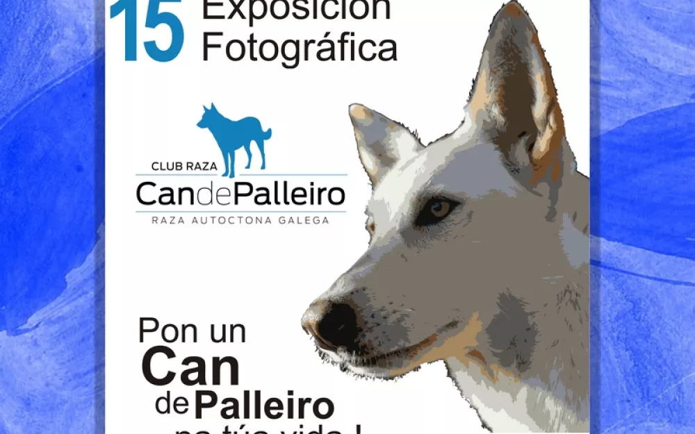 cartel_fotog_negreira.jpg