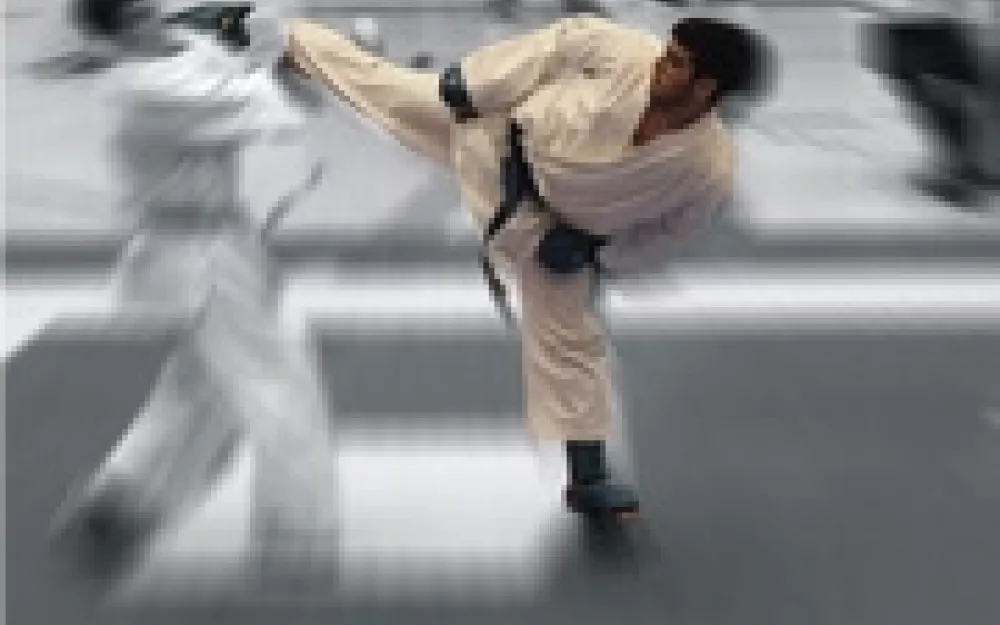 cartelkarate.jpg