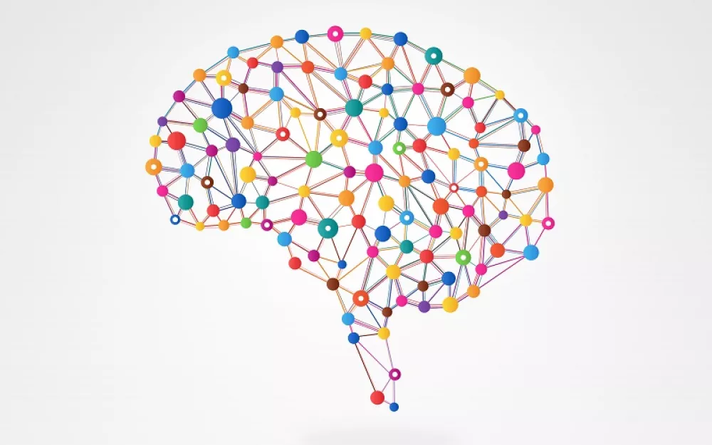 cerebro.jpg