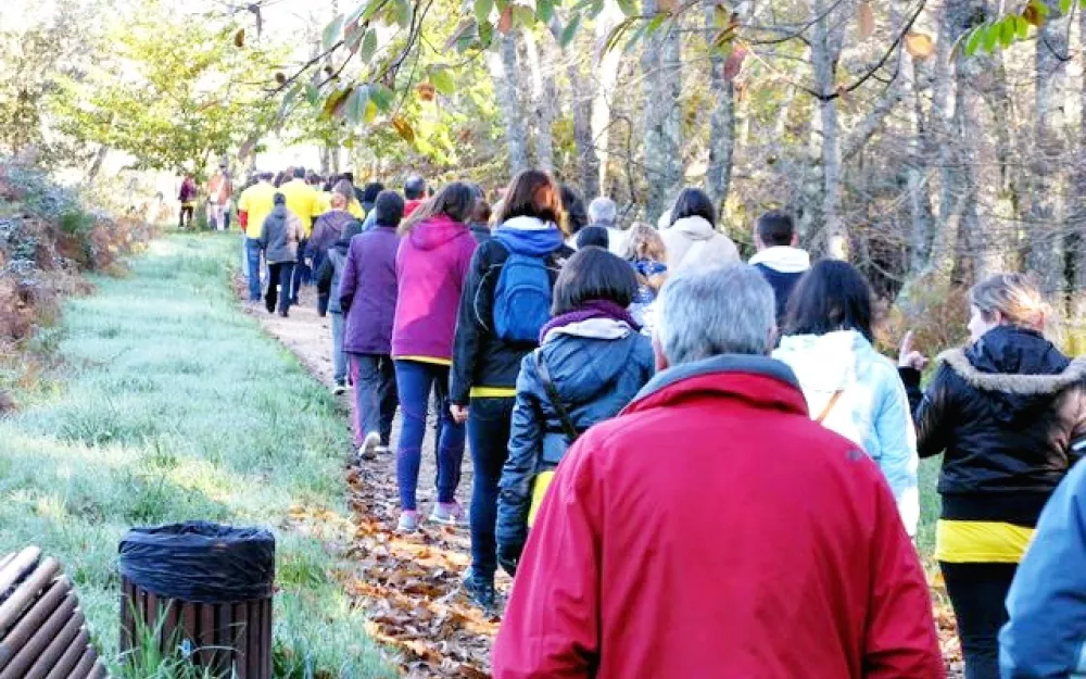 Camiñata e concurso contra a violencia de xénero 2013