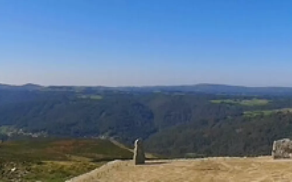 cotro.jpg