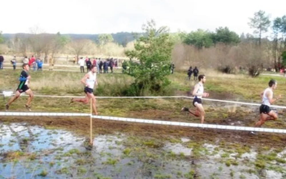 Campionato Galego de campo a través 2014