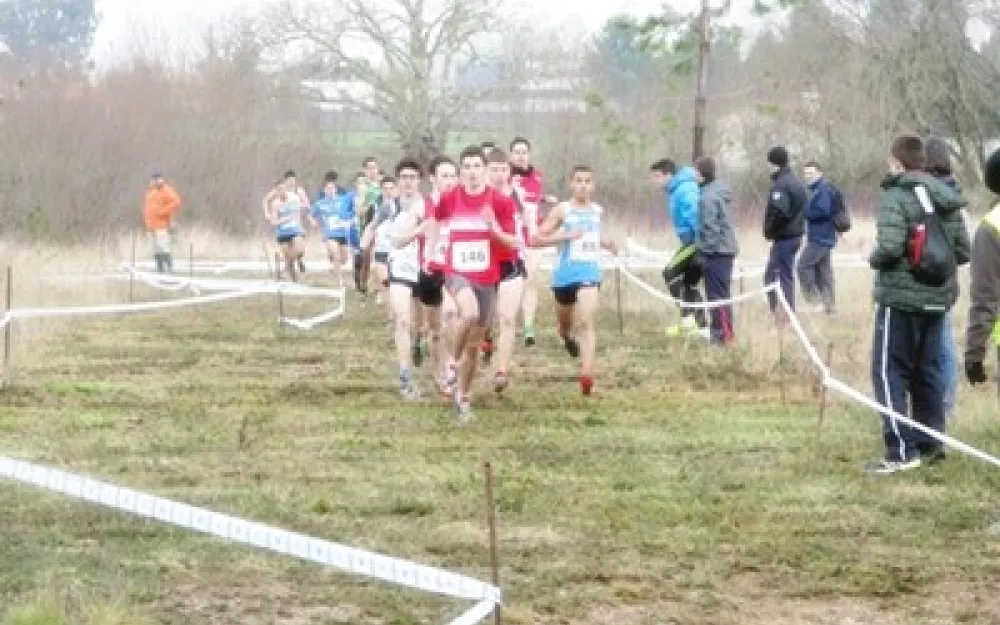 Campionato Galego de campo a través 2014