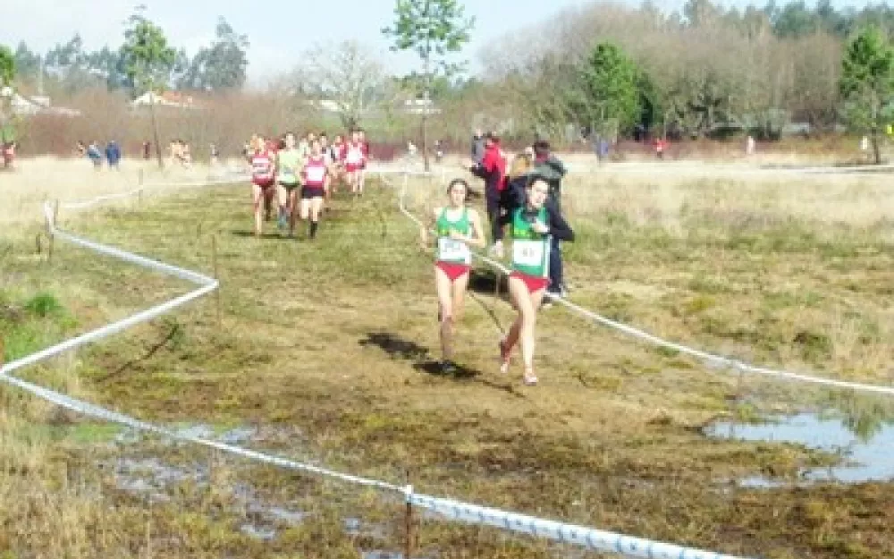 Campionato Galego de campo a través 2014