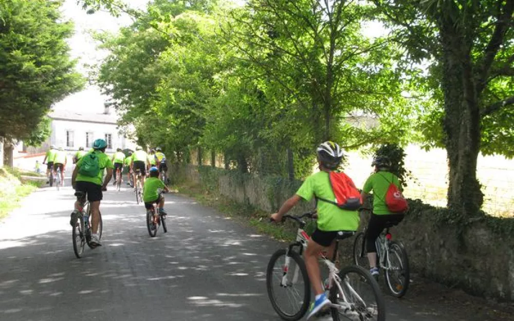 9º Día da Bicicleta