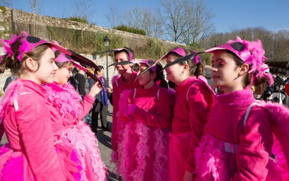 Entroido Negreira 2017