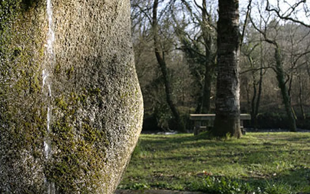 Concello Negreira
