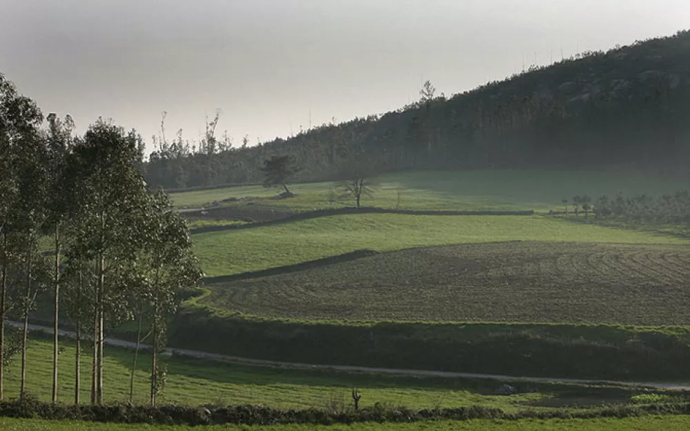 Concello Negreira 