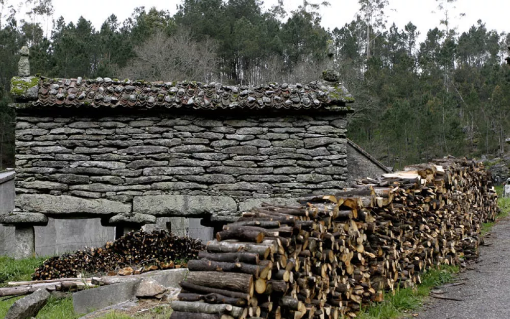 Concello Negreira
