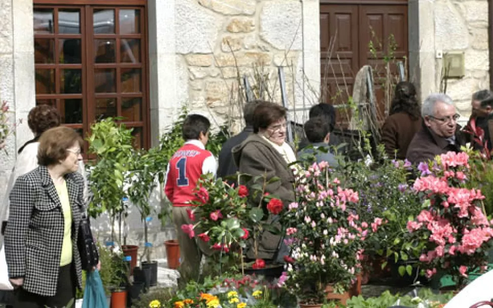 Concello Negreira