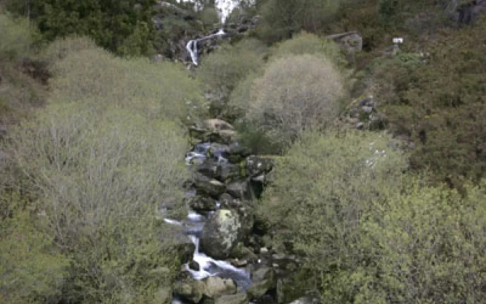 Concello Negreira