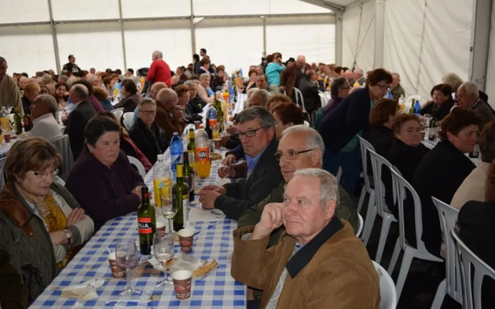 XXI Encontro Maiores
