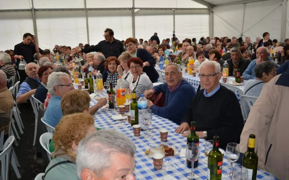 XXI Encontro Maiores