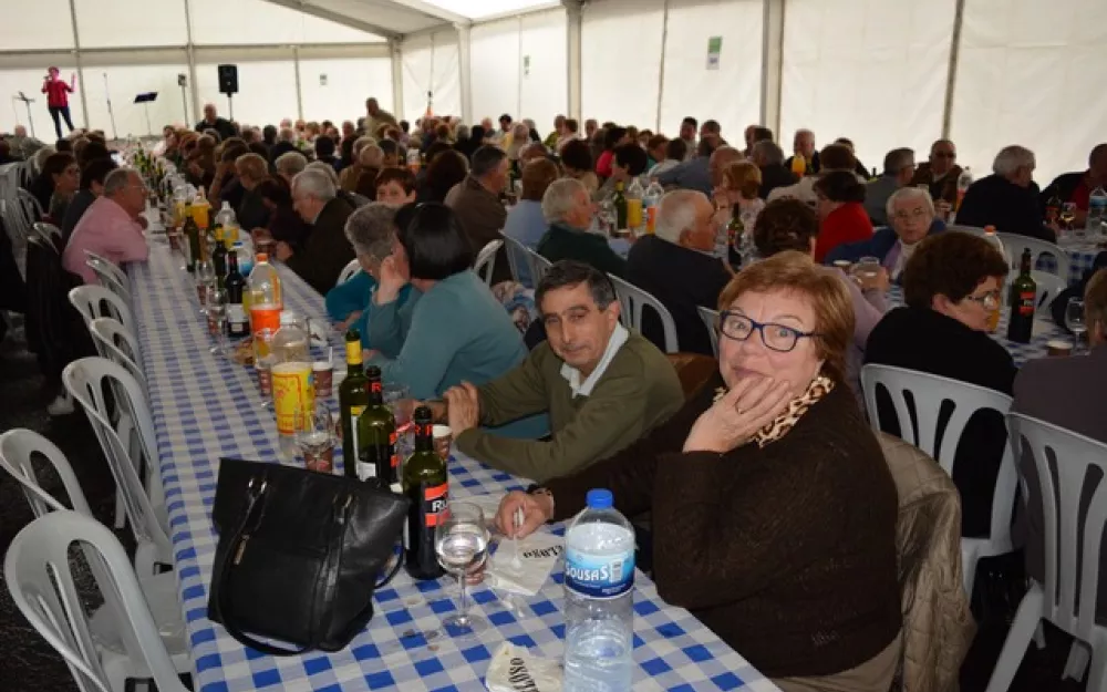 XXI Encontro Maiores