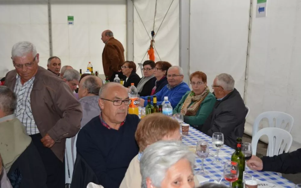 XXI Encontro Maiores