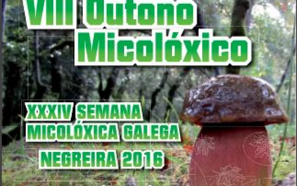 micoloxico.png