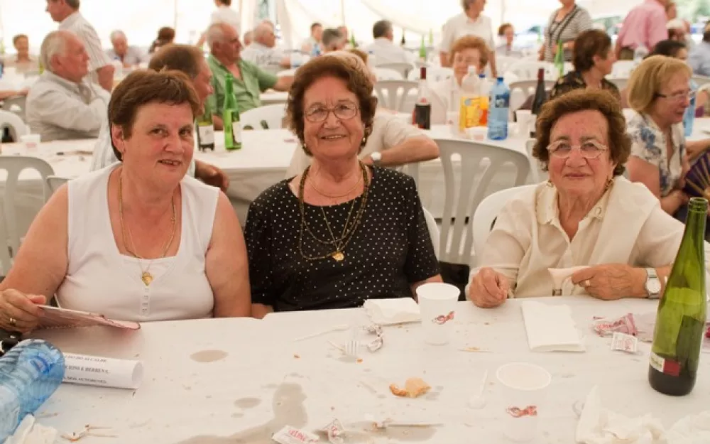 Festa 3ª Idade 2010