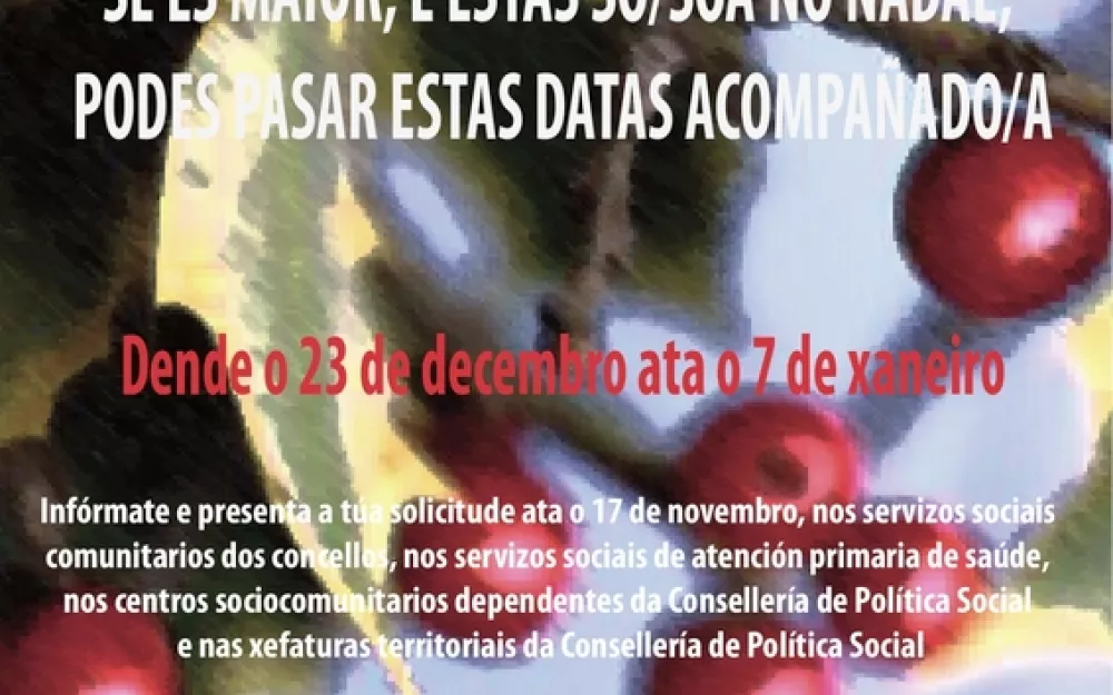 xuntos_polo_nadal_2017_GAL.jpg