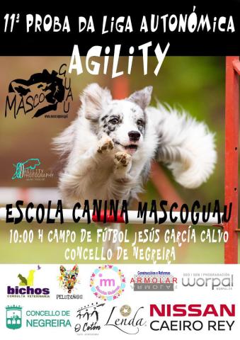Agility-Negreira.jpg