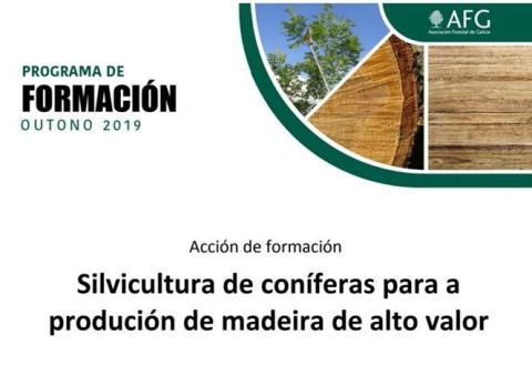 Curso_silvicultura.jpg