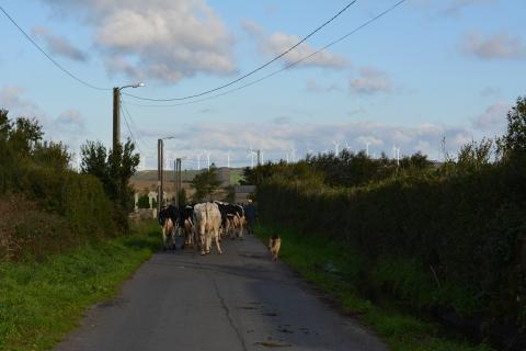 DSC_0055.JPG