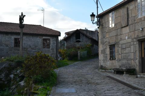 DSC_0309.JPG