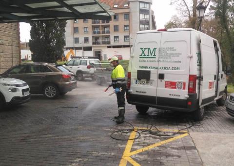 Xema1.jpg