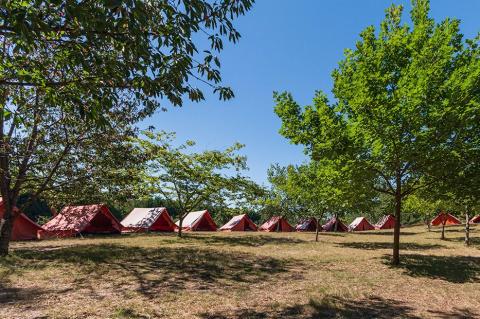 campamento2024.jpg