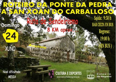 carballoso2.jpg