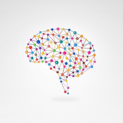 cerebro.jpg