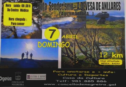 devesaanllares20032019.jpg