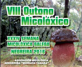 micoloxico.png