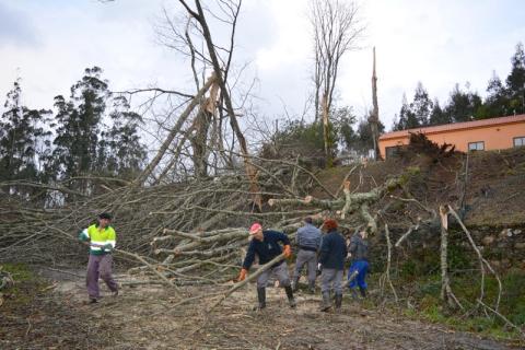 temporal030217.jpg