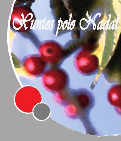 xuntos-nadal-2021.jpg
